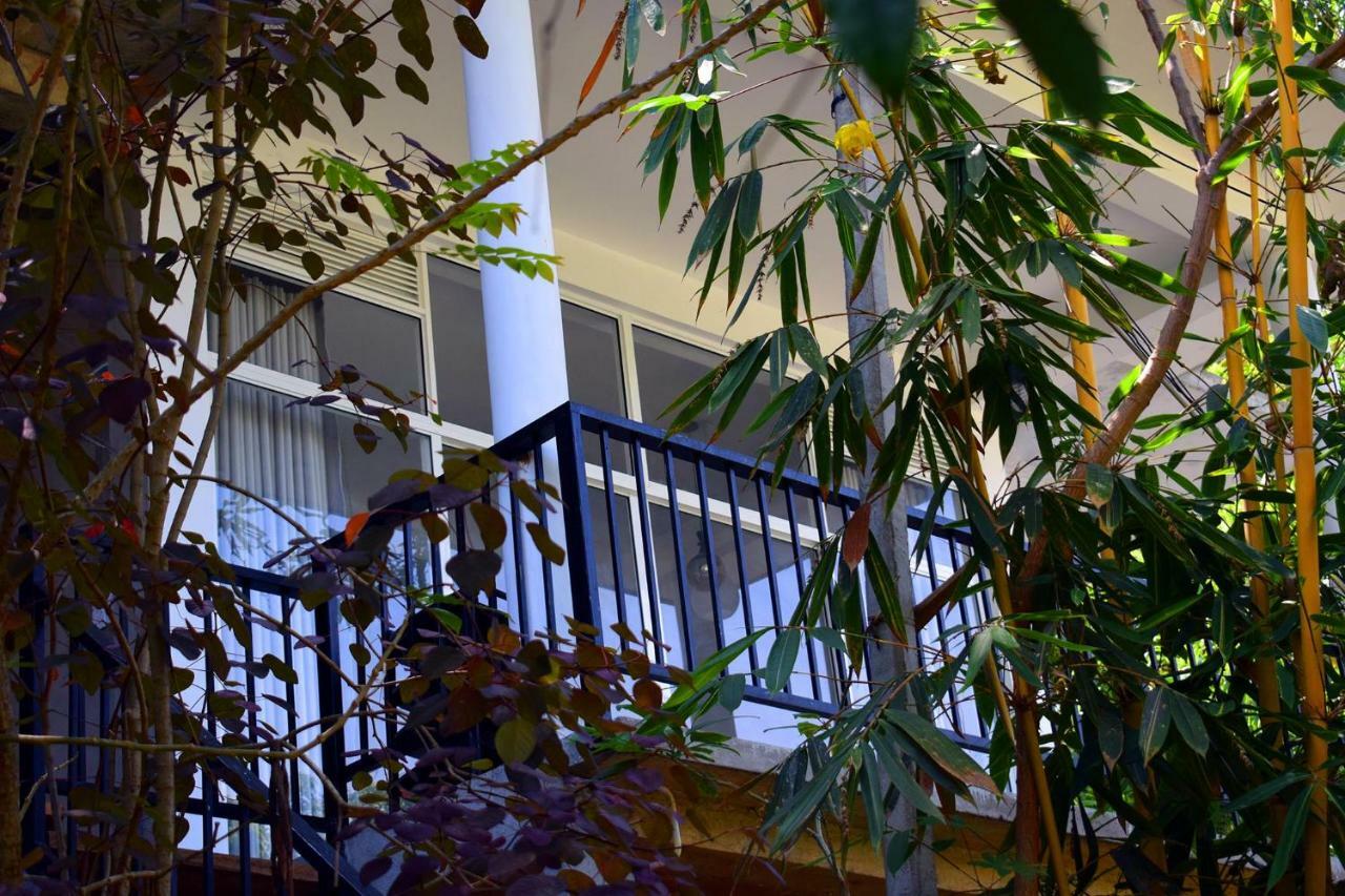 Raveena Guest House เอลลา ภายนอก รูปภาพ